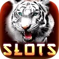 Now playing: 250+ of the best slots & casino games