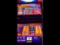 Cats and Dogs Video Slot Machine Smaller Progressive But Fun!