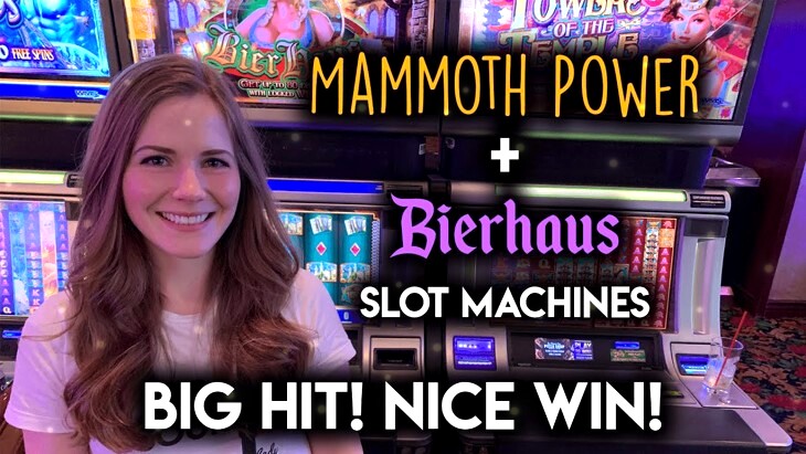 Mammoth Wins Slot Machine