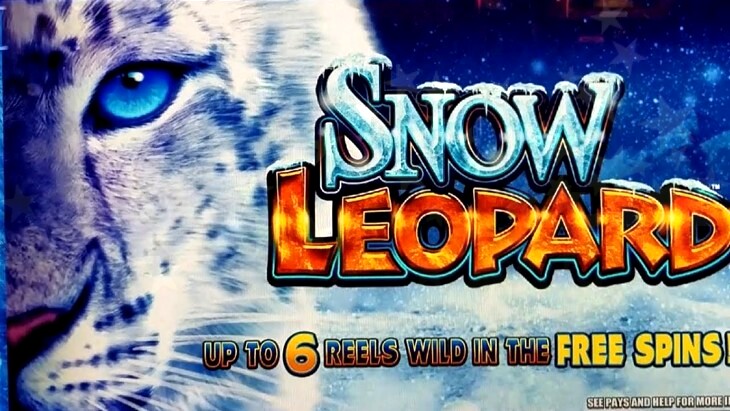 Snow Leopard Free Slots